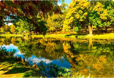 Lake Bob Sandlin State Park