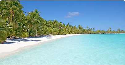 White Elephant Resort