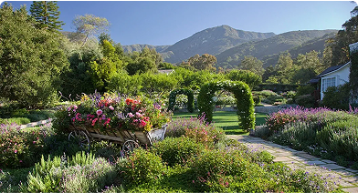 White Elephant Resort